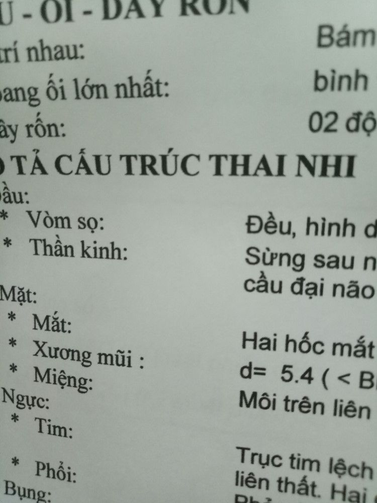 Các mom ơi nhìn dám e xương mũi bé có bị thấp ko ạ. Thai 24w4d ...