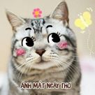 user_avatar
